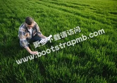 探索旺财28的无限精彩 - 旺财285